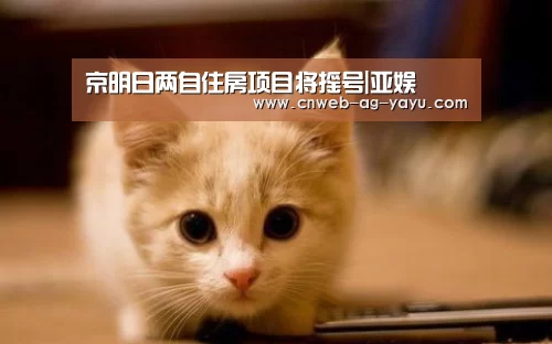 ag官网