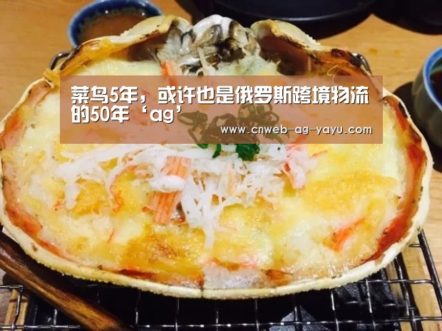 菜鸟5年,或许也是俄罗斯跨境物流的50年‘ag’(图1) ag官网