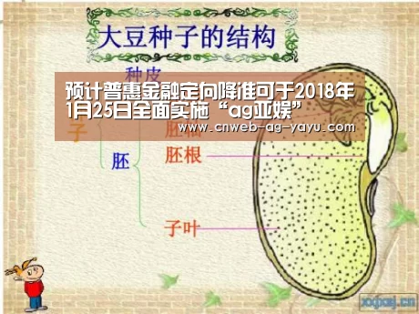 预计普惠金融定向降准可于2018年1月25日全面实施“ag亚娱”(图1) 预计普惠金融定向降准可于2018年1月25日全面实施“ag亚娱”(图1)