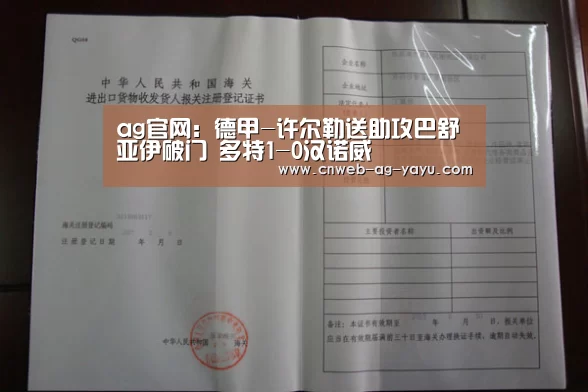 ag官网:德甲-许尔勒送助攻巴舒亚伊破门 多特1-0汉诺威(图2) ag亚娱