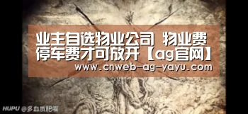 业主自选物业公司 物业费停车费才可放开【ag官网】(图3) ag亚娱